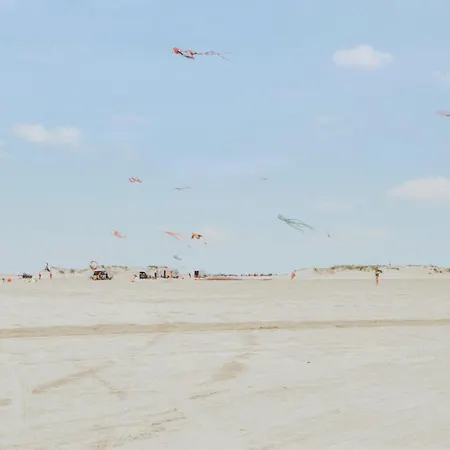 Cozy In With Sauna * Rømø